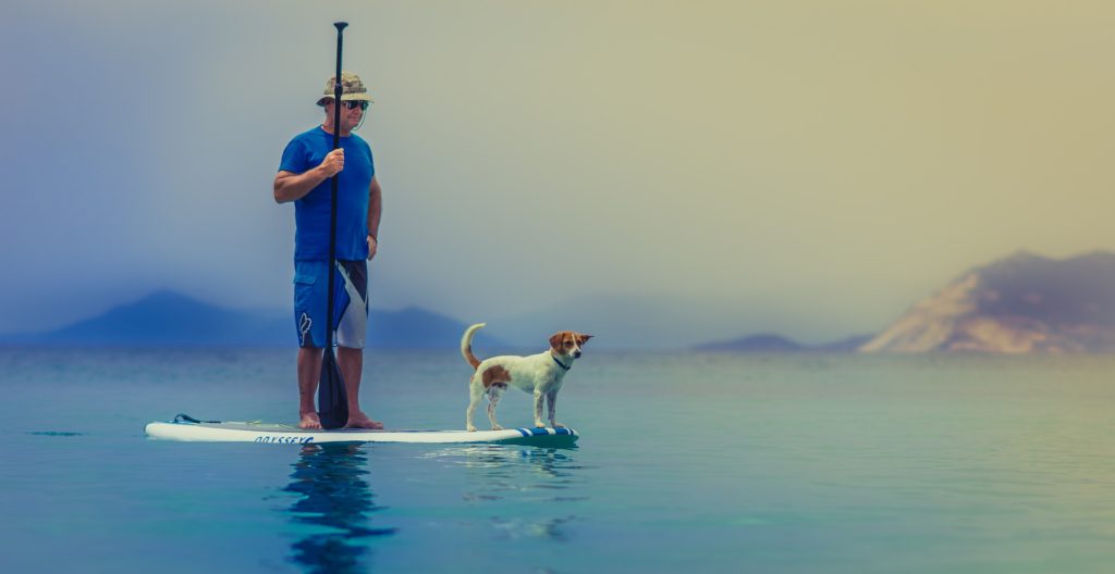 pagaie paddle