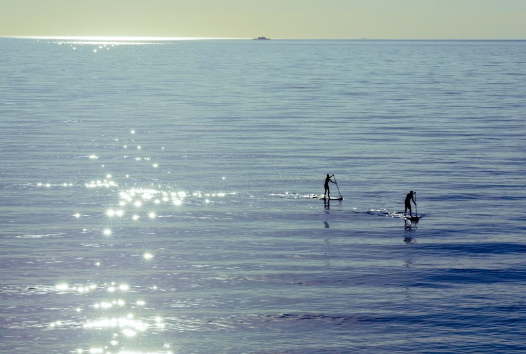 paddle surf